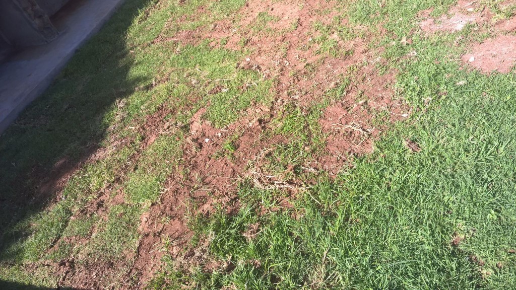 Grass removal